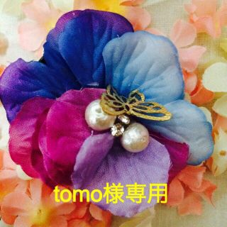 tomo様専用(その他)