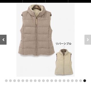 プラステ(PLST)の美品❤️エステル起毛リバーシブルダウンベスト プラステ2016AWお値下げ！(ダウンベスト)