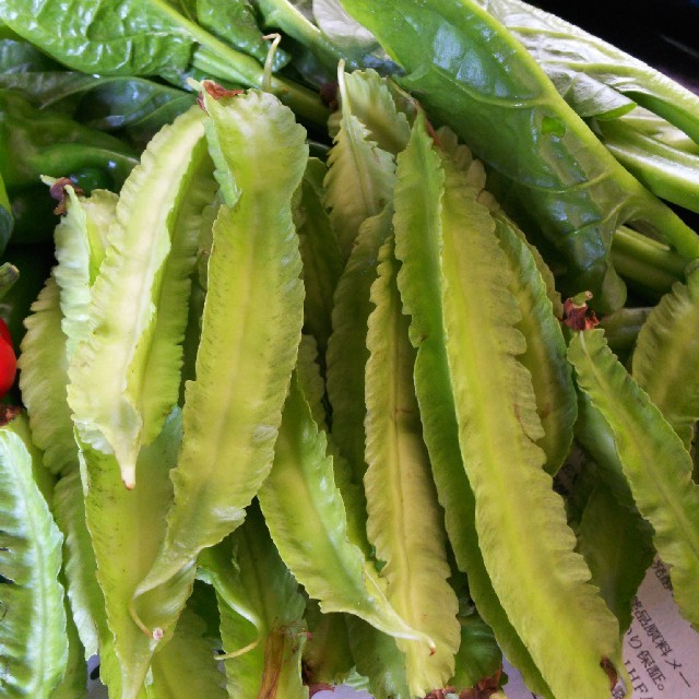 結愛杏ままん様専用ページです。常温便 色々お野菜 80サイズ  野菜詰め合わせ  食品/飲料/酒の食品(野菜)の商品写真