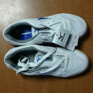 ミズノ(MIZUNO)のミズノ インドア用 シューズ 新品未使用(ウエア)