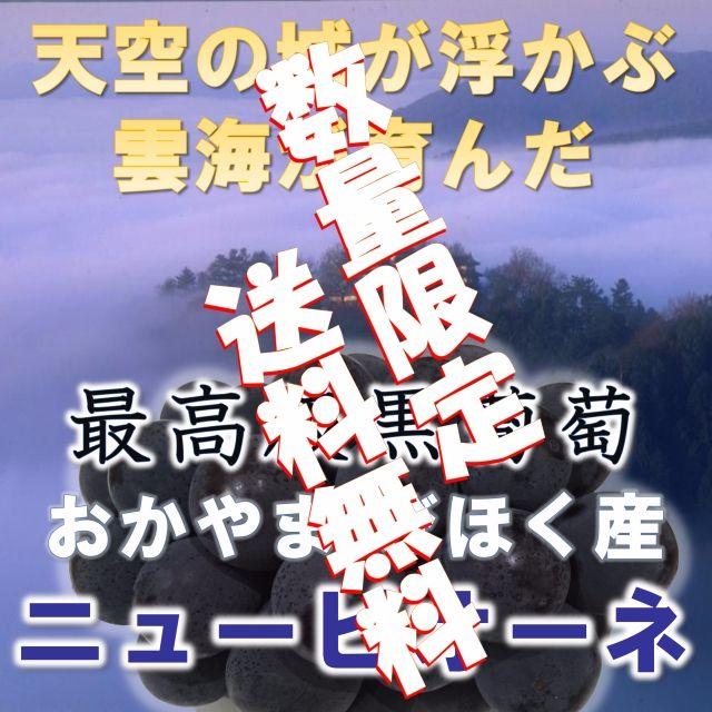 日本一の高級黒ぶどう 岡山びほく産ニューピオーネ1kg以上2房 食品/飲料/酒の食品(フルーツ)の商品写真