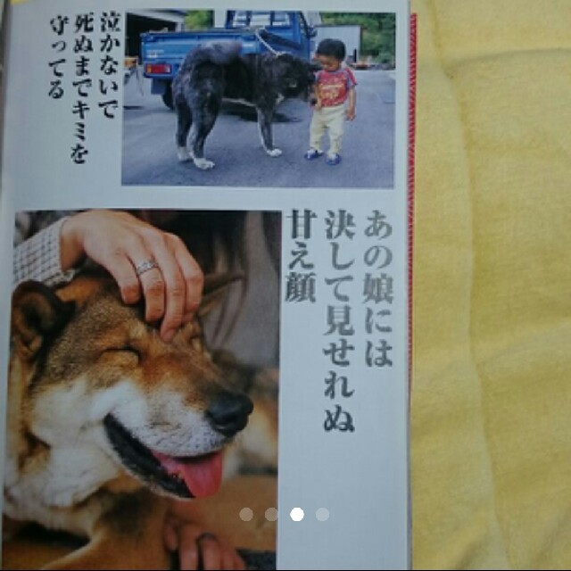 犬川柳　本 その他のペット用品(犬)の商品写真