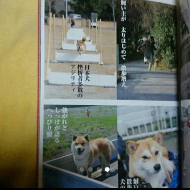 犬川柳　本 その他のペット用品(犬)の商品写真