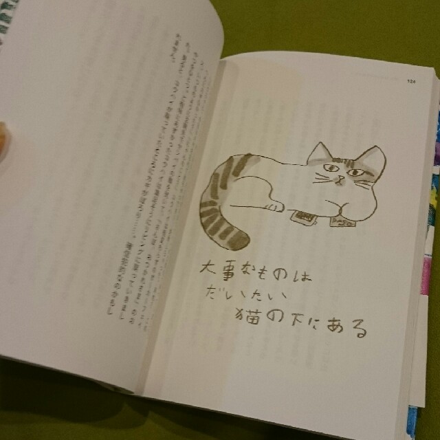 「猫は、うれしかったことしか覚えていない」石黒由紀子 エンタメ/ホビーの本(アート/エンタメ)の商品写真