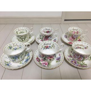 ロイヤルアルバート(ROYAL ALBERT)のロイヤルアルバート マンスリー カップ ソーサー セット(食器)