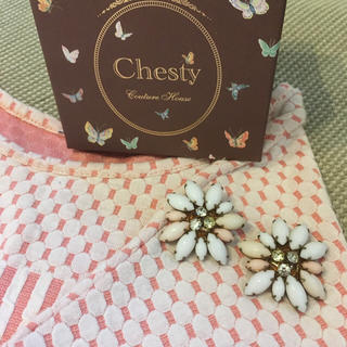 チェスティ(Chesty)のチェスティ ピアス(ピアス)