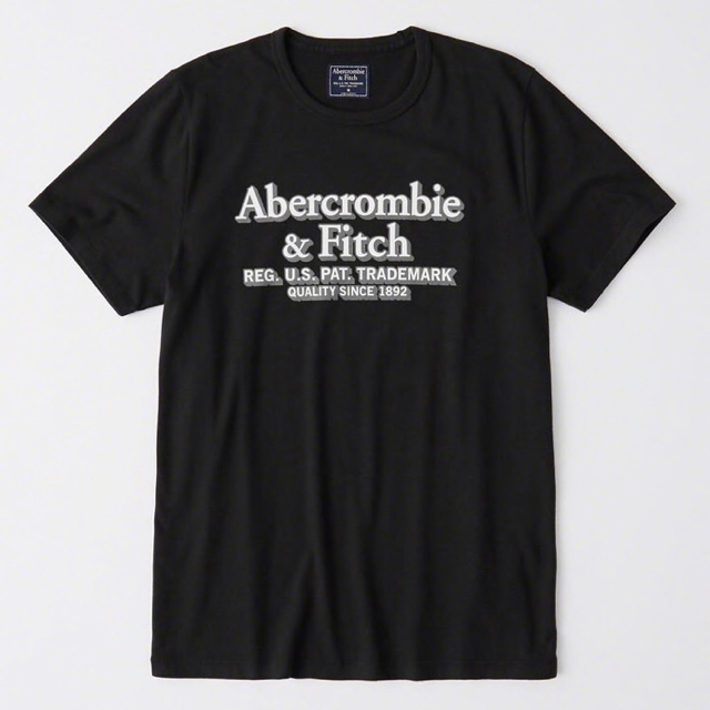 Abercrombie&Fitch(アバクロンビーアンドフィッチ)の新品❤️ アバクロ Tシャツ 2枚セット メンズのトップス(Tシャツ/カットソー(半袖/袖なし))の商品写真