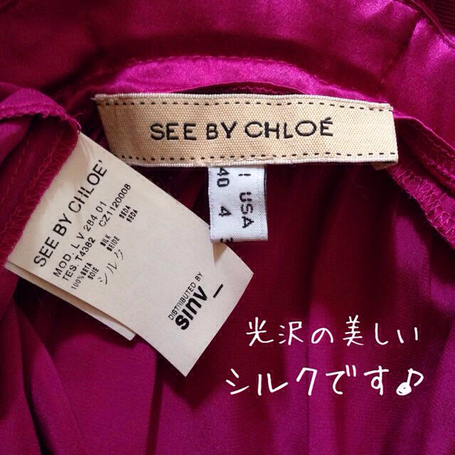 Chloe(クロエ)の着画あり♡美品シルクドレス レディースのワンピース(ひざ丈ワンピース)の商品写真