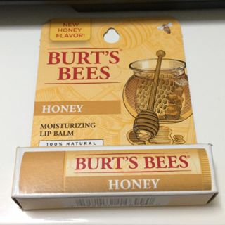 バーツビーズ(BURT'S BEES)のBURT'S BEES リップ(リップケア/リップクリーム)