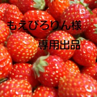 もえぴろりん様専用出品(その他)