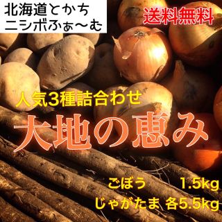 北海道とかちニシボふぁ〜む 詰め合わせセット『大地の恵み』5.5・5.5・1.5(野菜)