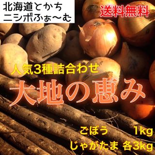 北海道とかちニシボふぁ〜む 詰め合わせセット『大地の恵み』３・３・１(野菜)