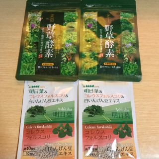 【新品】野草酵素 2ヵ月分 明日葉&コレウスフォルスコリ&白いんげん豆エキス (青汁/ケール加工食品)