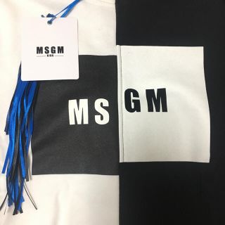 エムエスジイエム(MSGM)の2017AW 新作✨ MSGM ２トーンカラーブロックスウェット (トレーナー/スウェット)