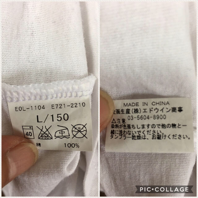 EDWIN(エドウィン)のEDWIN GOLF キッズ L 150cm （レディースS）半袖Tシャツ美品 スポーツ/アウトドアのゴルフ(ウエア)の商品写真