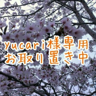 アプワイザーリッシェ(Apuweiser-riche)のyucari様専用　22日までお取り置き(カットソー(半袖/袖なし))