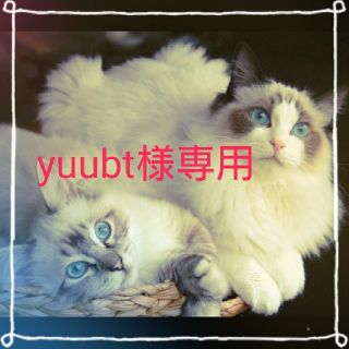 イーハイフンワールドギャラリーボンボン(E hyphen world gallery BonBon)のyuubt様専用(シャツ/ブラウス(長袖/七分))