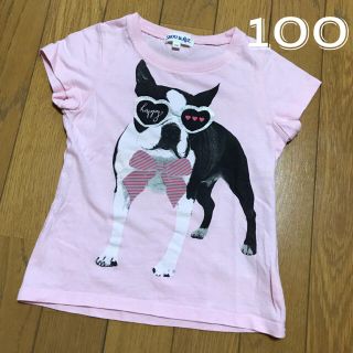 シューラルー(SHOO・LA・RUE)の100 : Shoo la rue ブルドッグ半袖(Tシャツ/カットソー)