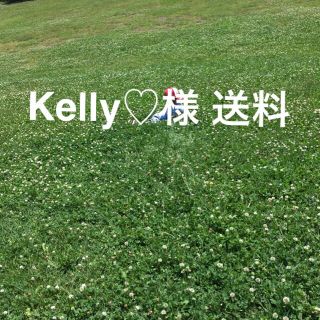 Kelly♡様 送料(その他)