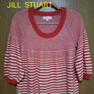 ジルスチュアート(JILLSTUART)の新品☆JILL  STUART☆ニット(ニット/セーター)