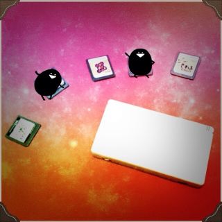 任天堂DSらいと➕ソフト(その他)