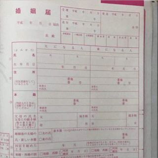 ピンクの婚姻届 ゼクシィ付録 書き方見本付き(印刷物)