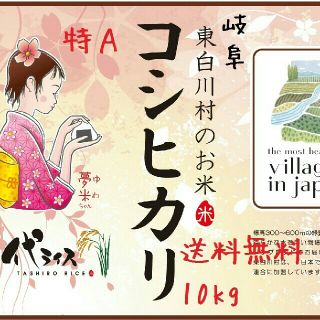 新米🍚H29年産　特Aコシヒカリ　玄米10kg　送料無料(米/穀物)