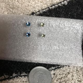 スワロフスキー(SWAROVSKI)のY様 専用(ピアス)