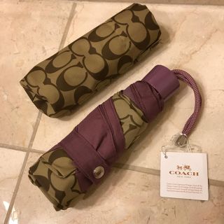 コーチ(COACH)のコーチ 正規品 折りたたみ傘 新品(傘)