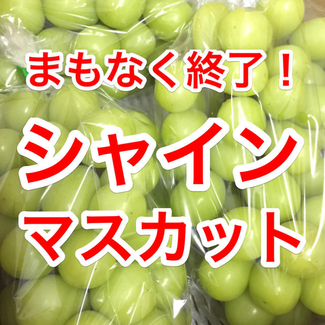 山梨県産●まもなく終了！シャインマスカット（2kg）優良品 食品/飲料/酒の食品(フルーツ)の商品写真