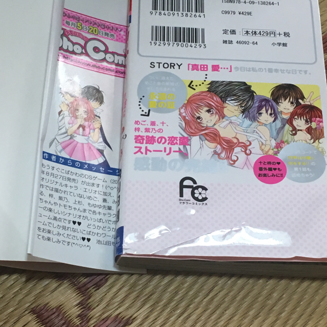 小学館(ショウガクカン)の小林が可愛すぎてツライ 全巻 +ファンブック エンタメ/ホビーの漫画(少女漫画)の商品写真