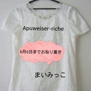 アプワイザーリッシェ(Apuweiser-riche)の送料込シャドゥチェックビジューブラウス(シャツ/ブラウス(半袖/袖なし))