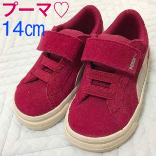 プーマ(PUMA)の新品 同様♡プーマ 14㎝ スニーカー  ワインレッド（赤） 女の子(スニーカー)