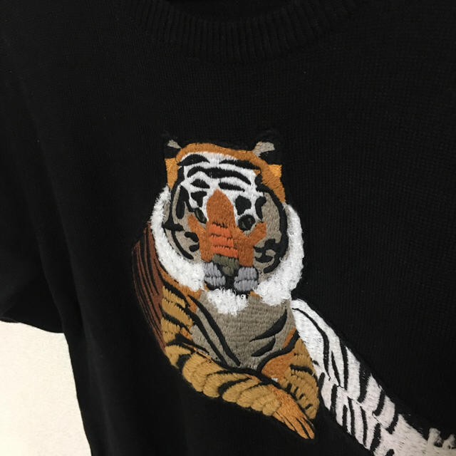 REDYAZEL(レディアゼル)のREDYAZEL トラ刺繍ニット レディースのトップス(ニット/セーター)の商品写真