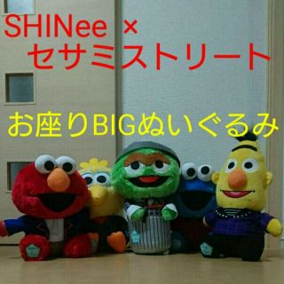 シャイニー(SHINee)の【ラスト】 SHINee × セサミストリート お座りBIGぬいぐるみ 5種(ミュージシャン)