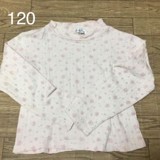 エニィファム(anyFAM)の120  トップス(Tシャツ/カットソー)