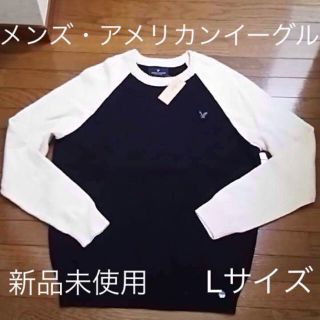 アメリカンイーグル(American Eagle)の値下・【メンズ】 AMERICAN EAGLE ニット(Lサイズ)(ニット/セーター)