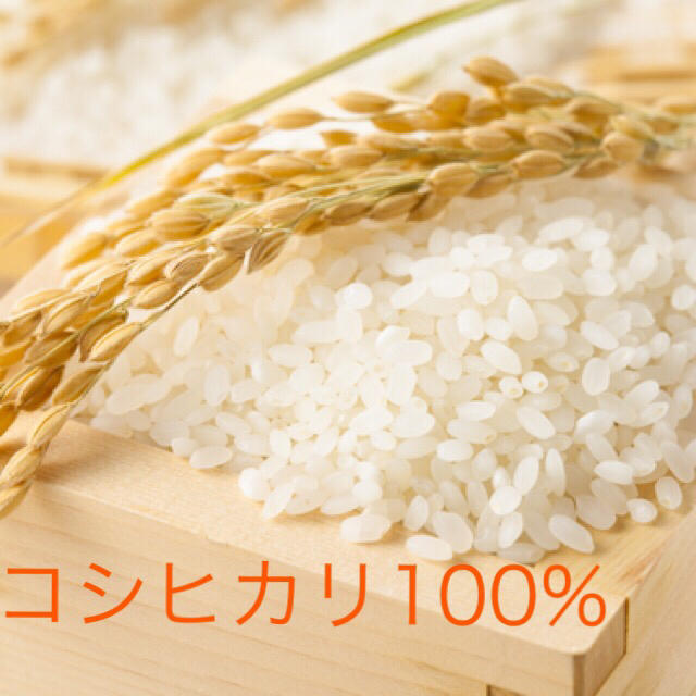 農家直送1等米5kg♪29年産コシヒカリ100%精米済み送料無料 食品/飲料/酒の食品(米/穀物)の商品写真