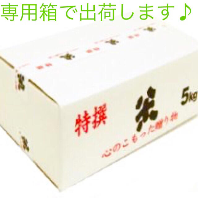 農家直送1等米5kg♪29年産コシヒカリ100%精米済み送料無料 食品/飲料/酒の食品(米/穀物)の商品写真