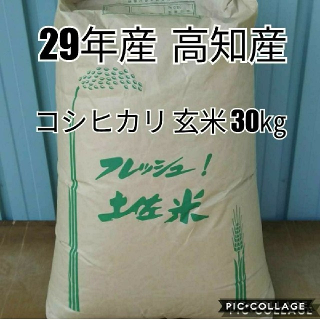 29年産 高知県産 新米 コシヒカリ 玄米 30㎏ 食品/飲料/酒の食品(米/穀物)の商品写真