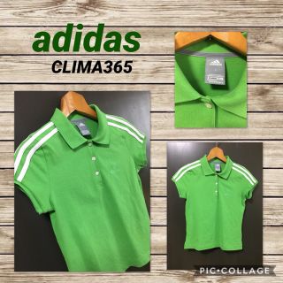 アディダス(adidas)のadidas ポロシャツ CLIMA365 レディースS 超美品新品同様(ポロシャツ)