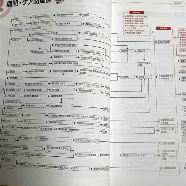 皮膚 トラブル 看護 計画