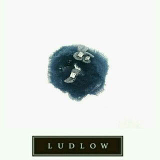 ラドロー(LUDLOW)の★未使用★LUDLOW（ラドロー）チュチュヘアアクセはダスティグレーでシックに(ヘアゴム/シュシュ)