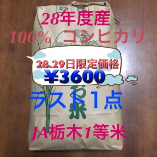 コシヒカリ 10kg  28.29日限定価格(米/穀物)