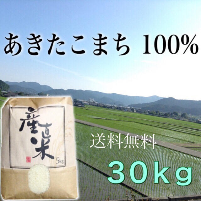 【kanae様専用】愛媛県産あきたこまち１００%   ３０ｋｇ  一等米 食品/飲料/酒の食品(米/穀物)の商品写真