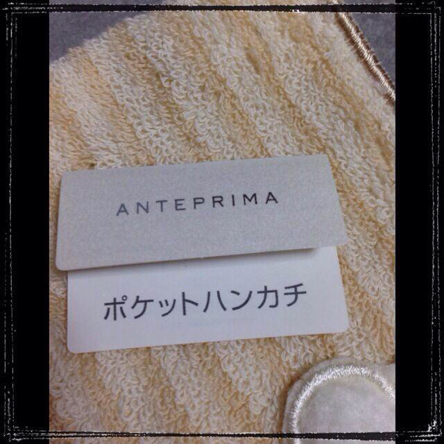 ANTEPRIMA(アンテプリマ)のANTEPRIMAポケットハンカチ レディースのファッション小物(ハンカチ)の商品写真