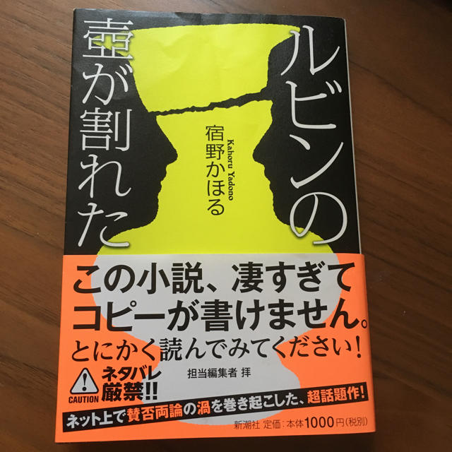 ★専用★ルビンの壺が割れた エンタメ/ホビーの本(文学/小説)の商品写真