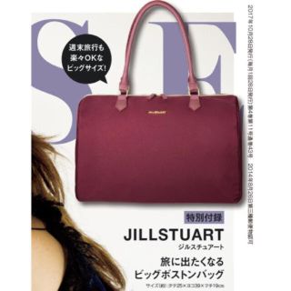 ジルスチュアート(JILLSTUART)のオトナミューズ ♪ 2017年 11月号付録(ファッション)