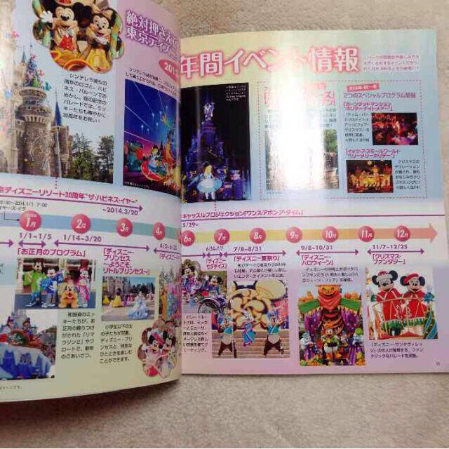 Disney(ディズニー)のディズニーランド ガイドブック エンタメ/ホビーのエンタメ その他(その他)の商品写真