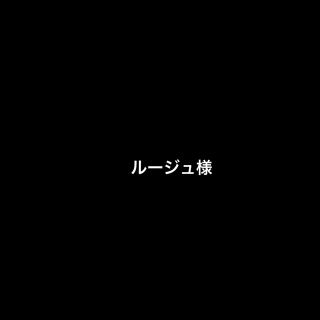 ルージュ様専用(その他)